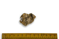 F 12731
<br/>
<br/>
<em></em>